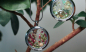 Preview: Medaillon Blüten Moos Muschel Garten Terrarium im Edelstahl Medaillon florale Landschaft als Geschenk für Frauen Freundin Mutter Schwester